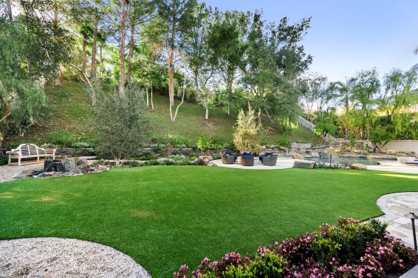 Summer Tree Care Tips for Northern California Homeowners
