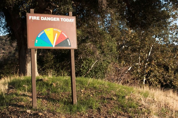 How Fire-Smart Tree Care Can Protect Your Property